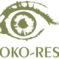 OKORES - Oko